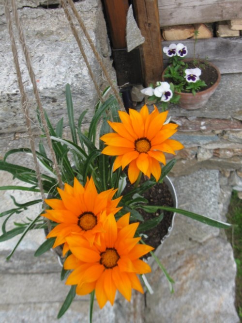 terrazza Rifugio Rosazza